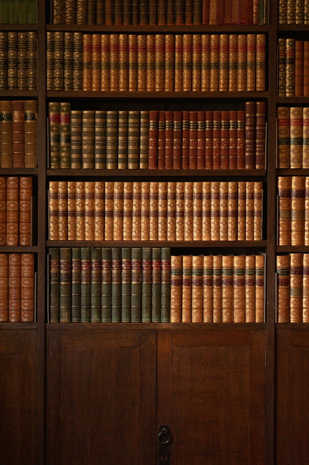 bookshelf with detective novels