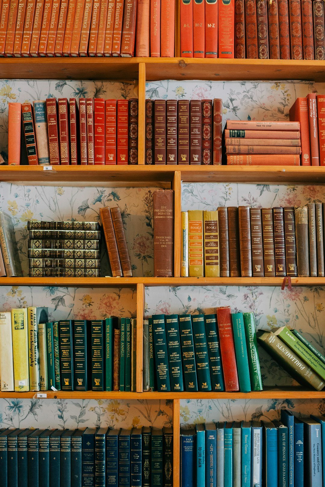 bookshelf with novels